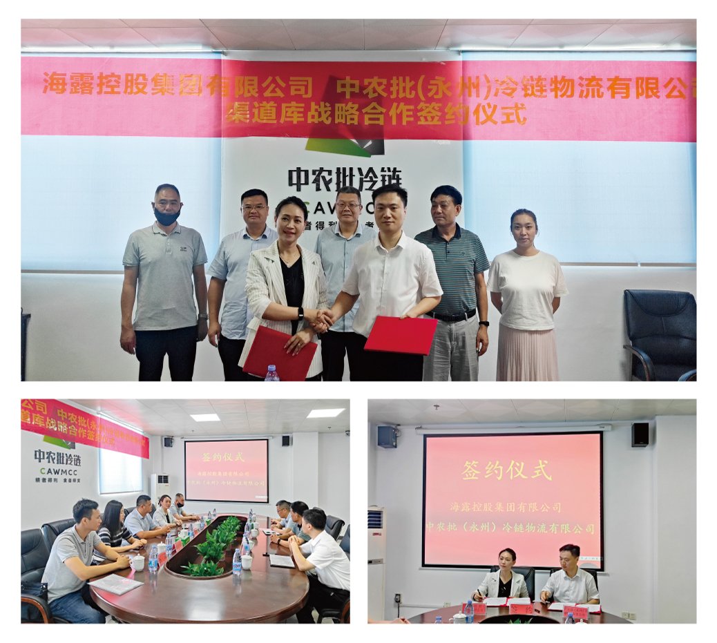 XPJ(中国大陆)有限公司官网