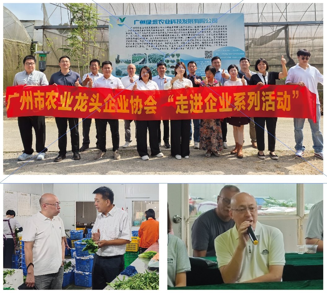 XPJ(中国大陆)有限公司官网