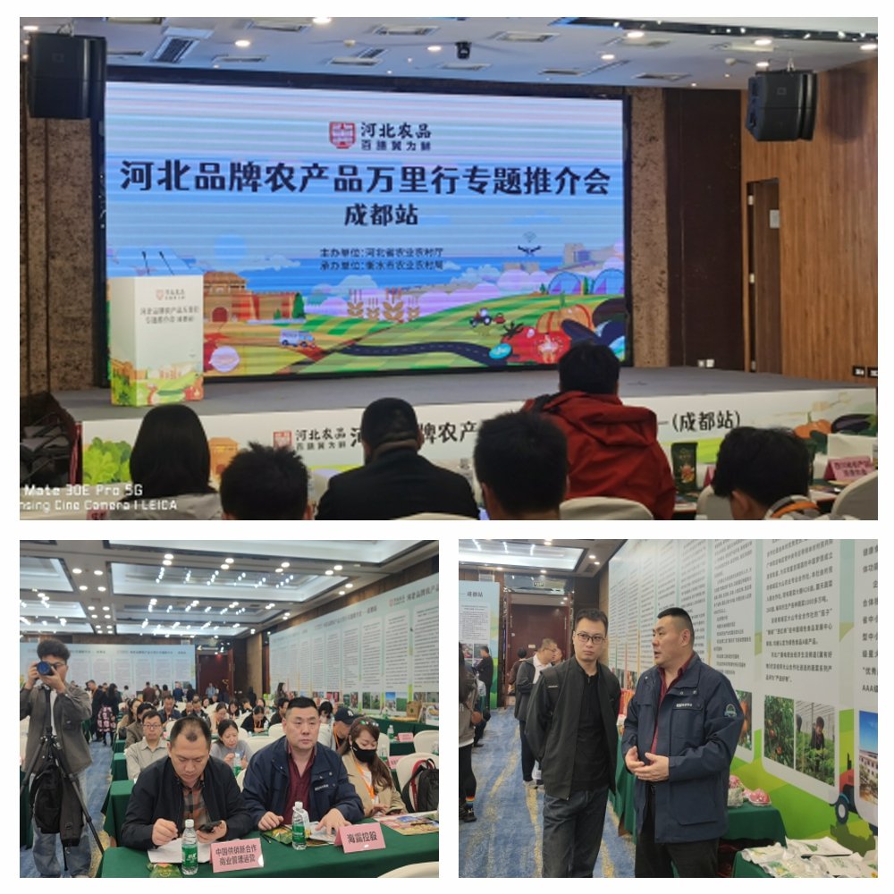 XPJ(中国大陆)有限公司官网