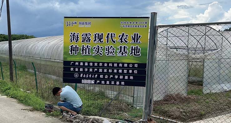 XPJ(中国大陆)有限公司官网