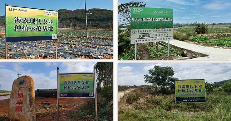 XPJ(中国大陆)有限公司官网