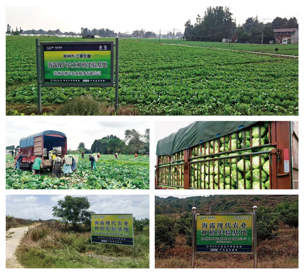 XPJ(中国大陆)有限公司官网