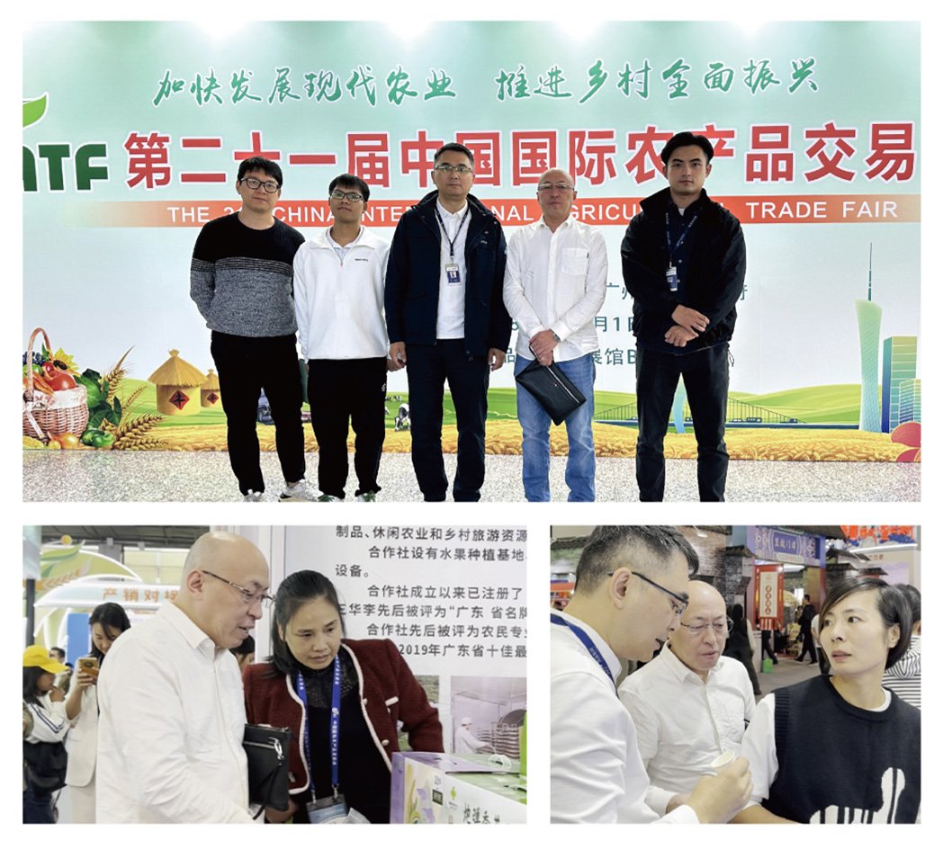 XPJ(中国大陆)有限公司官网