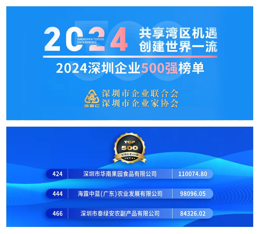 XPJ(中国大陆)有限公司官网