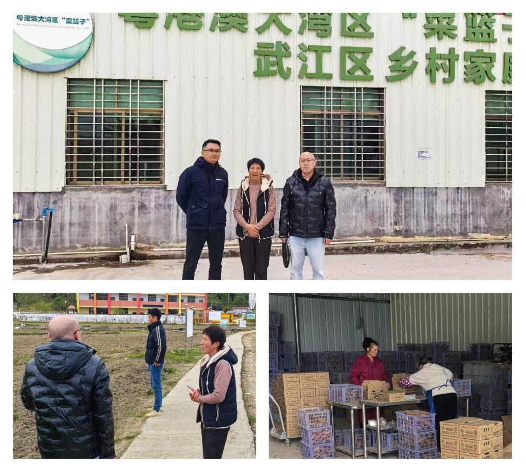 XPJ(中国大陆)有限公司官网