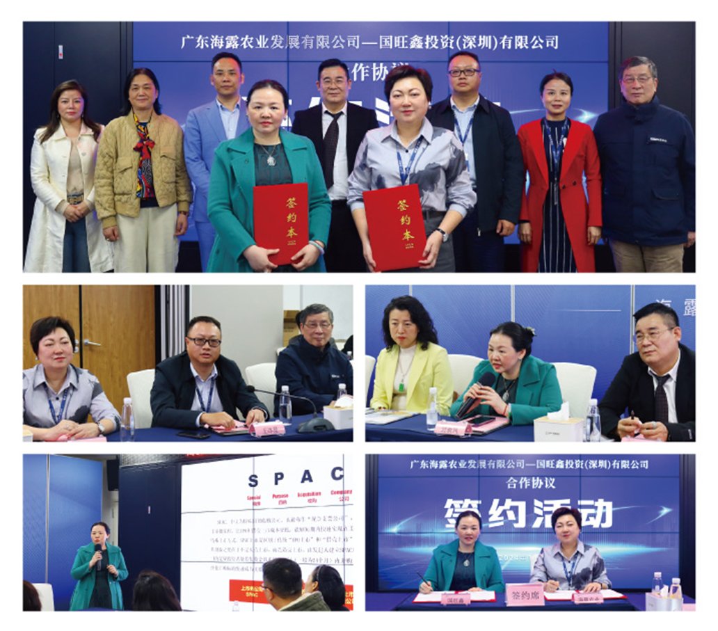 XPJ(中国大陆)有限公司官网