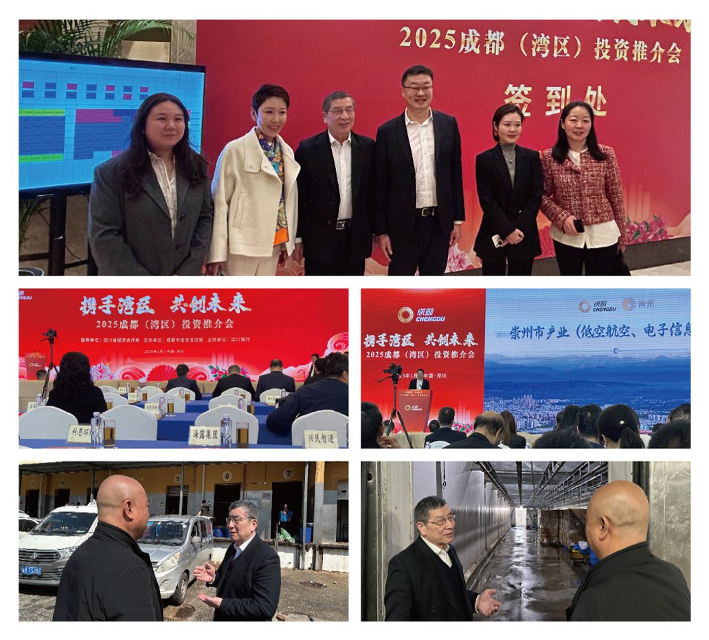 XPJ(中国大陆)有限公司官网