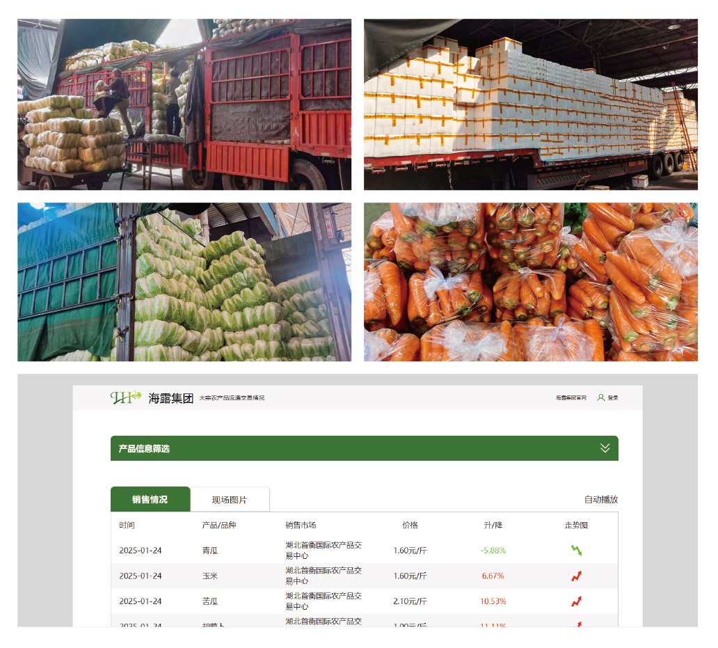 XPJ(中国大陆)有限公司官网