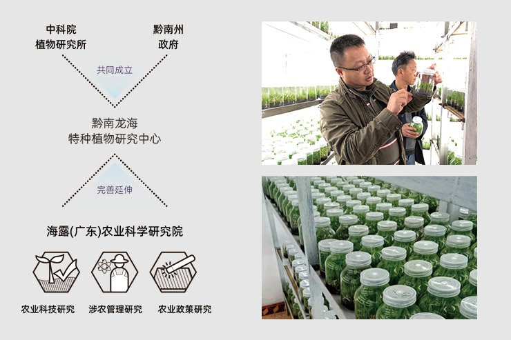 XPJ(中国大陆)有限公司官网