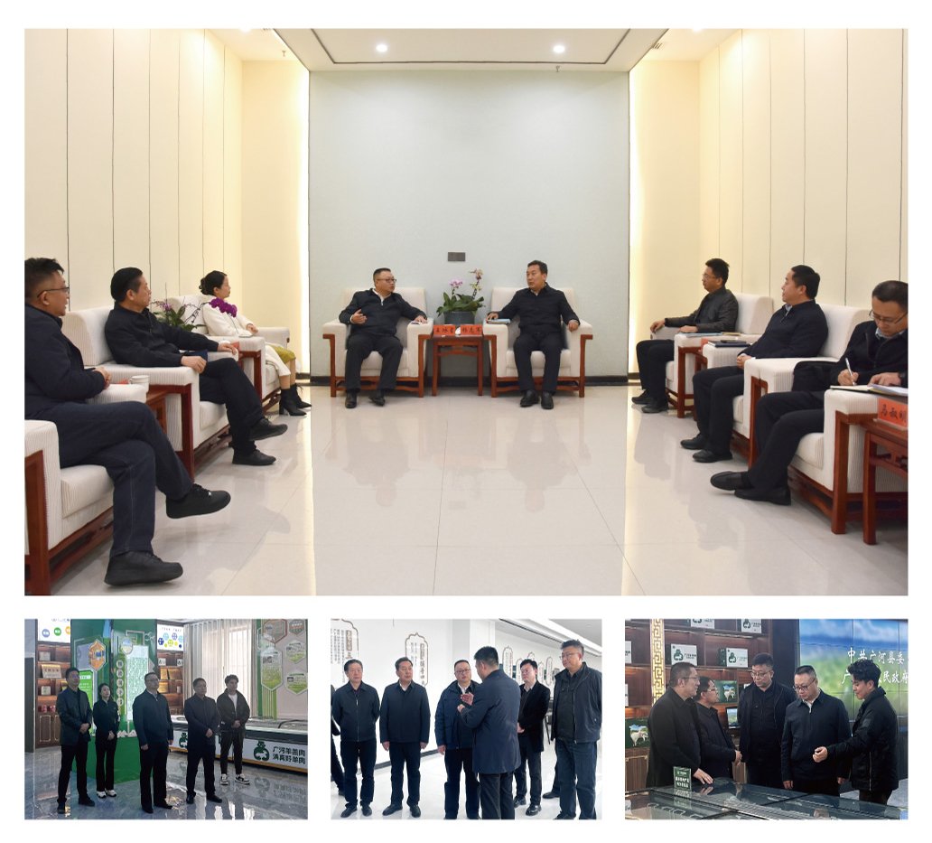 XPJ(中国大陆)有限公司官网