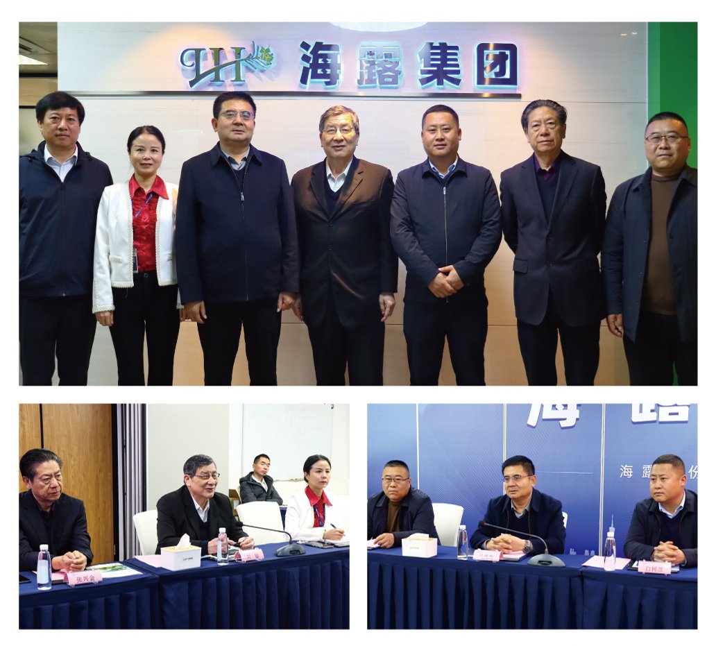 XPJ(中国大陆)有限公司官网