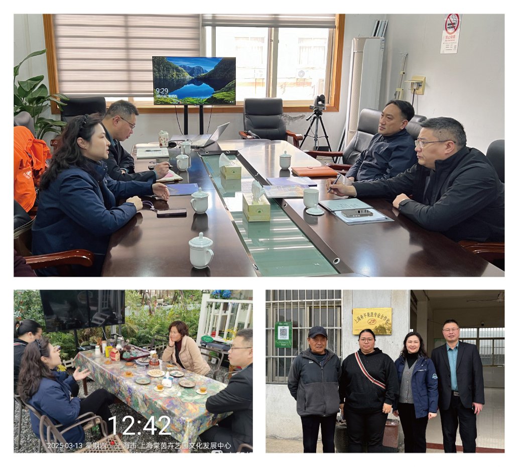 XPJ(中国大陆)有限公司官网