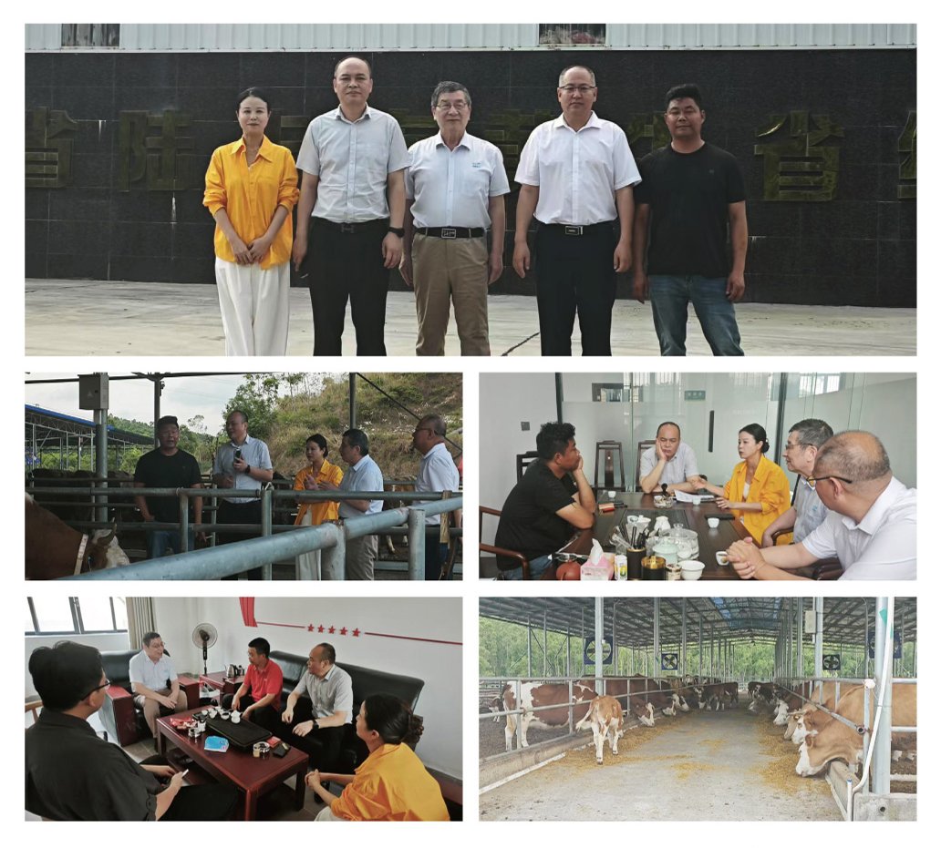 XPJ(中国大陆)有限公司官网