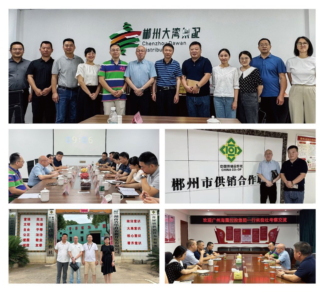 XPJ(中国大陆)有限公司官网