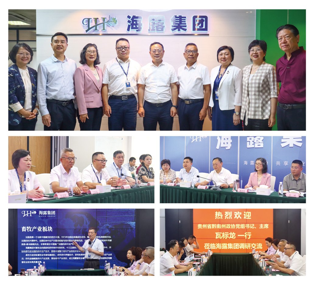 XPJ(中国大陆)有限公司官网