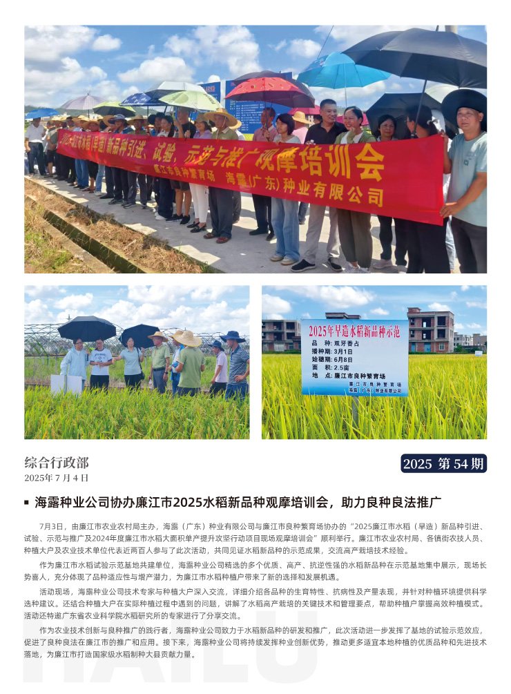 XPJ(中国大陆)有限公司官网