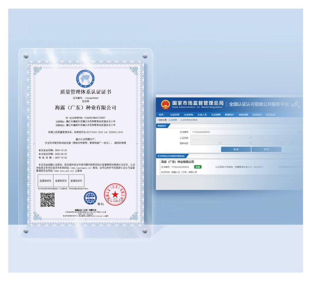 XPJ(中国大陆)有限公司官网