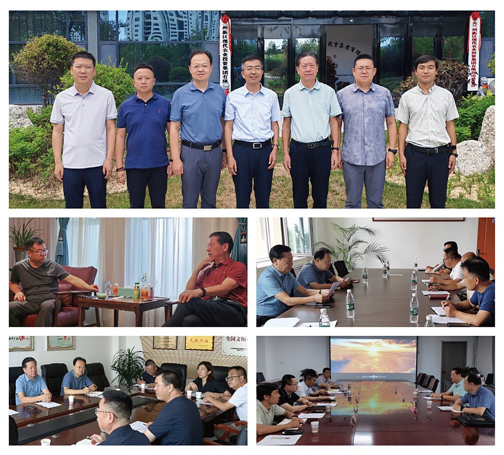 XPJ(中国大陆)有限公司官网