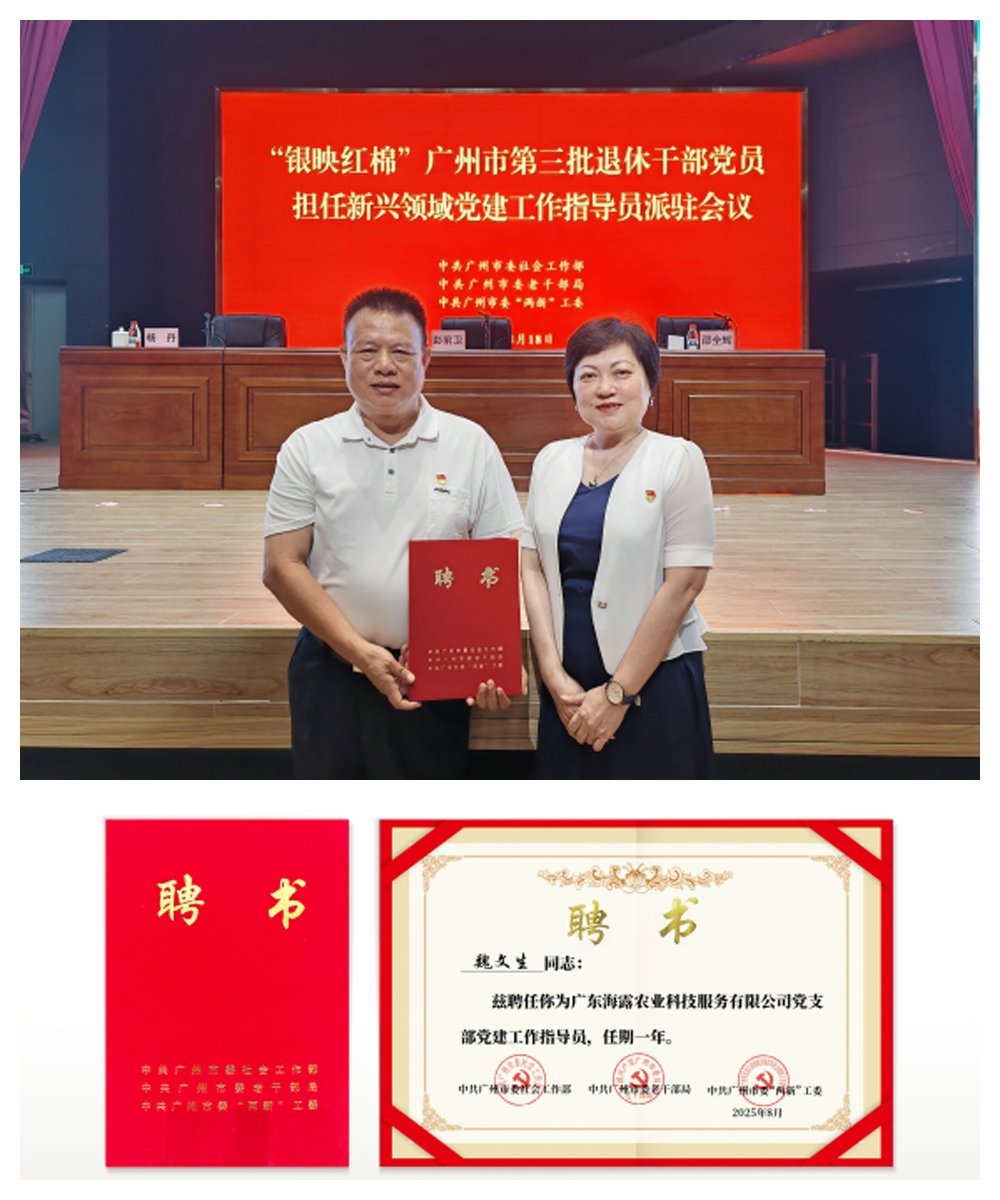 XPJ(中国大陆)有限公司官网