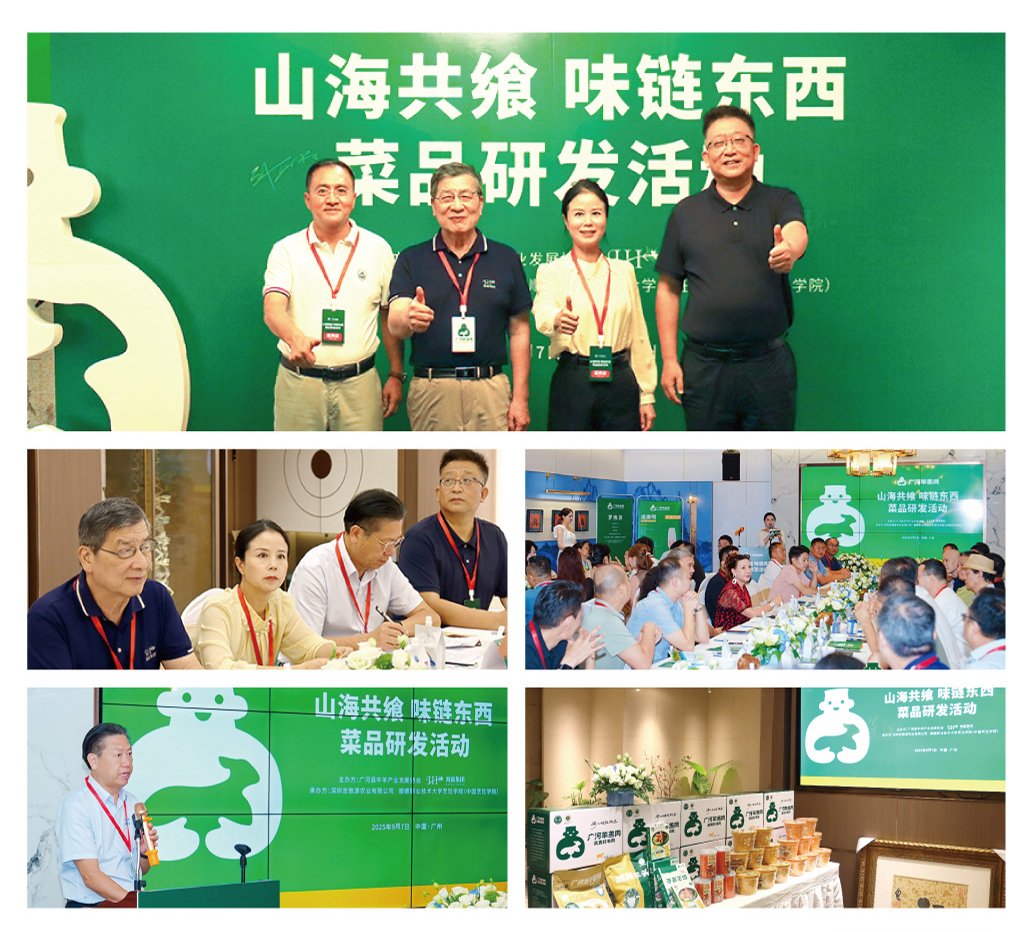 XPJ(中国大陆)有限公司官网