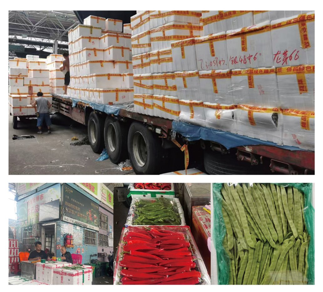 XPJ(中国大陆)有限公司官网