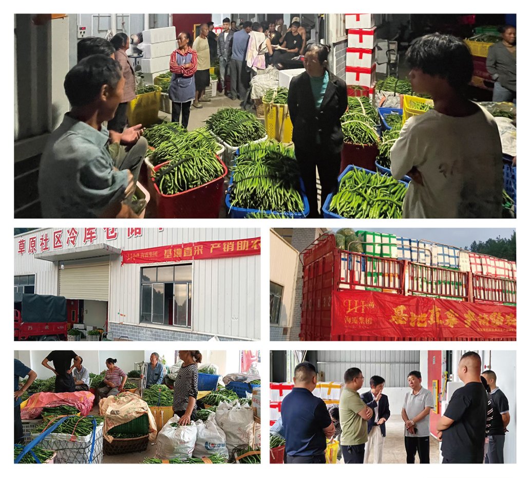 XPJ(中国大陆)有限公司官网