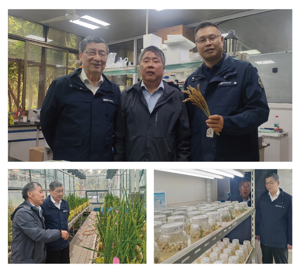 XPJ(中国大陆)有限公司官网