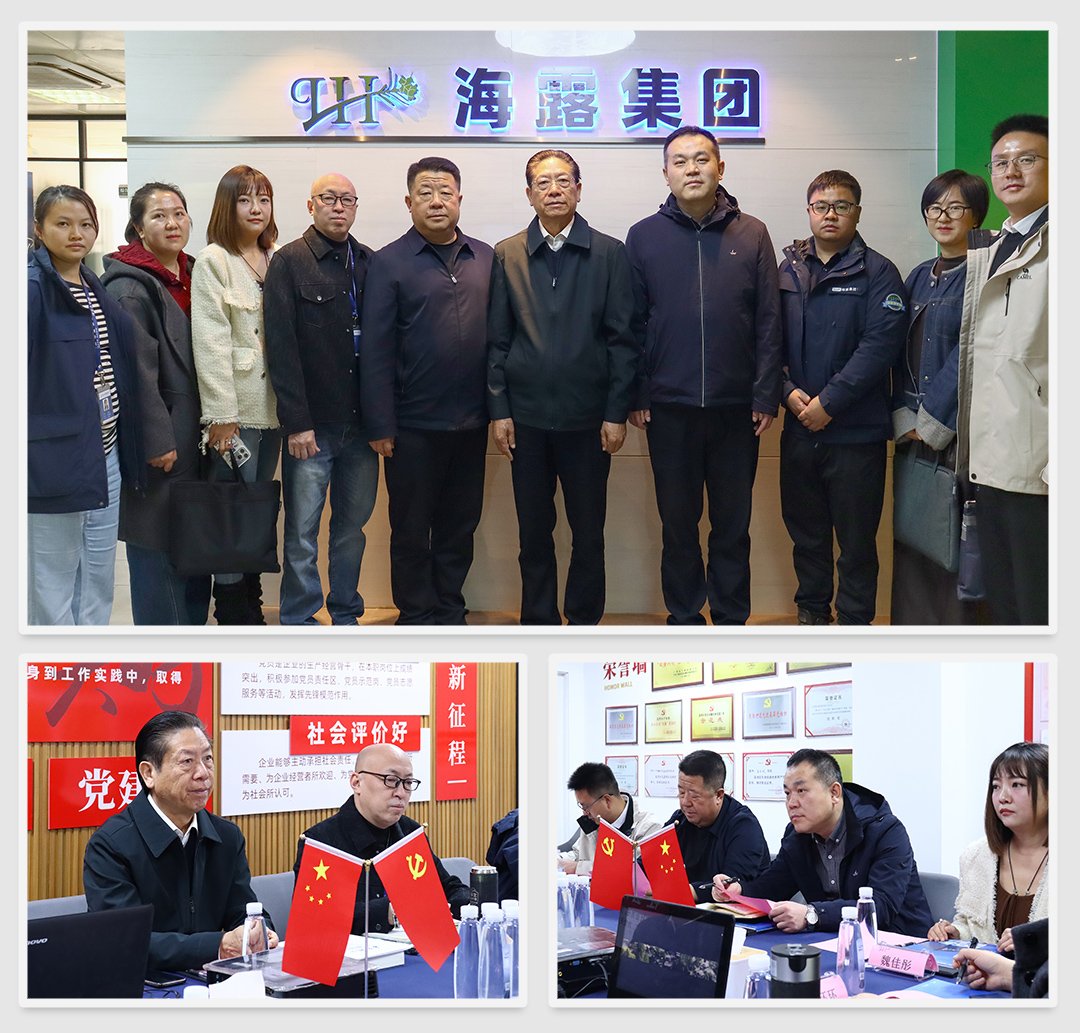 XPJ(中国大陆)有限公司官网