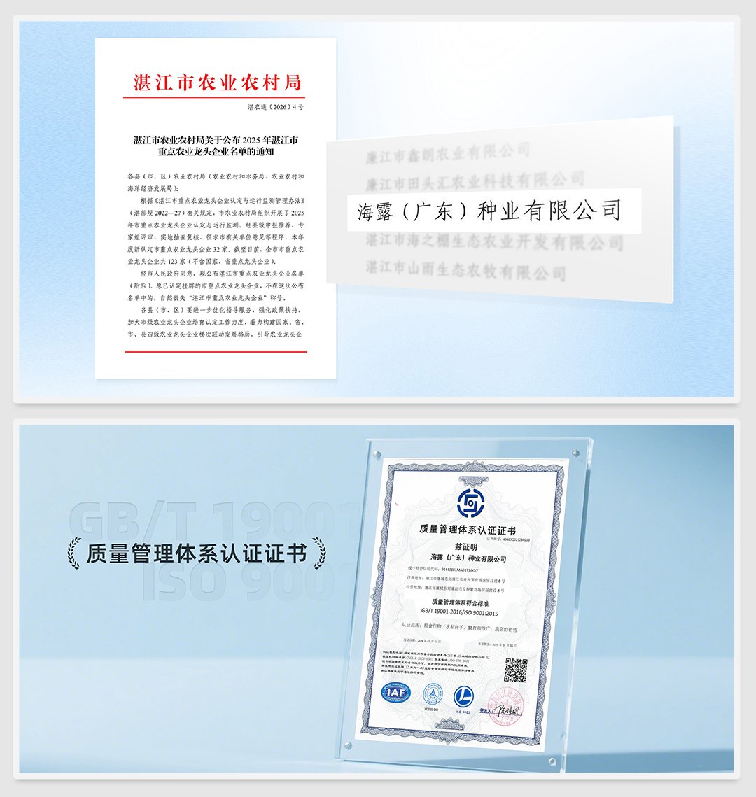 XPJ(中国大陆)有限公司官网