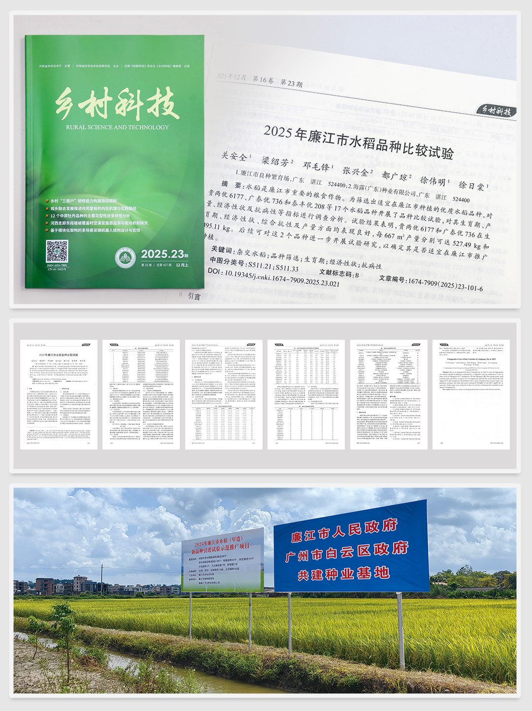 XPJ(中国大陆)有限公司官网