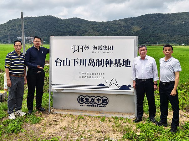 集团辅导赴山南市台山造种基地现场办公