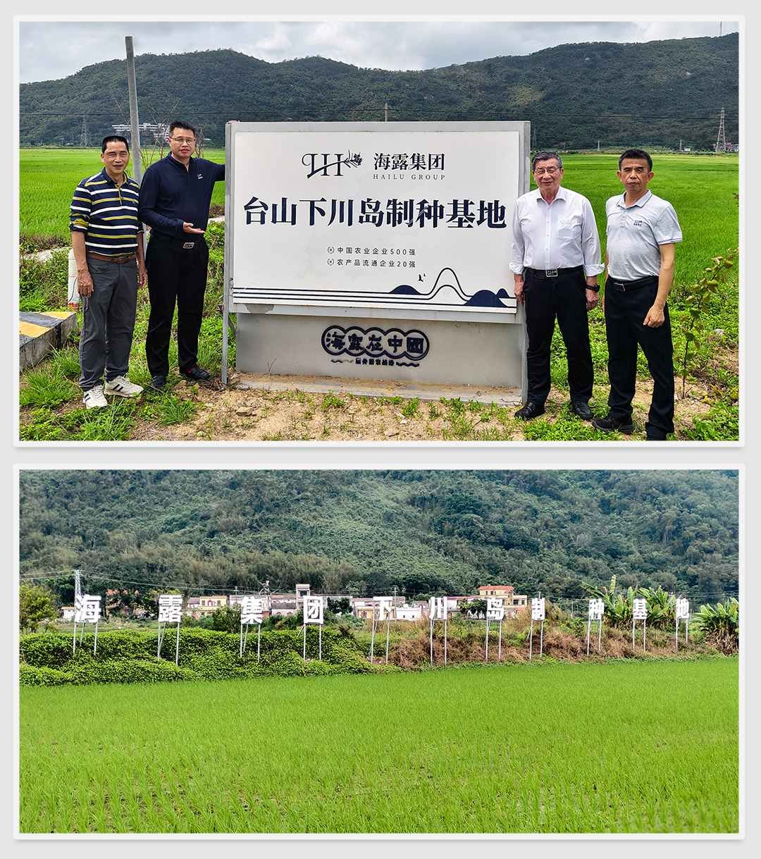 XPJ(中国大陆)有限公司官网